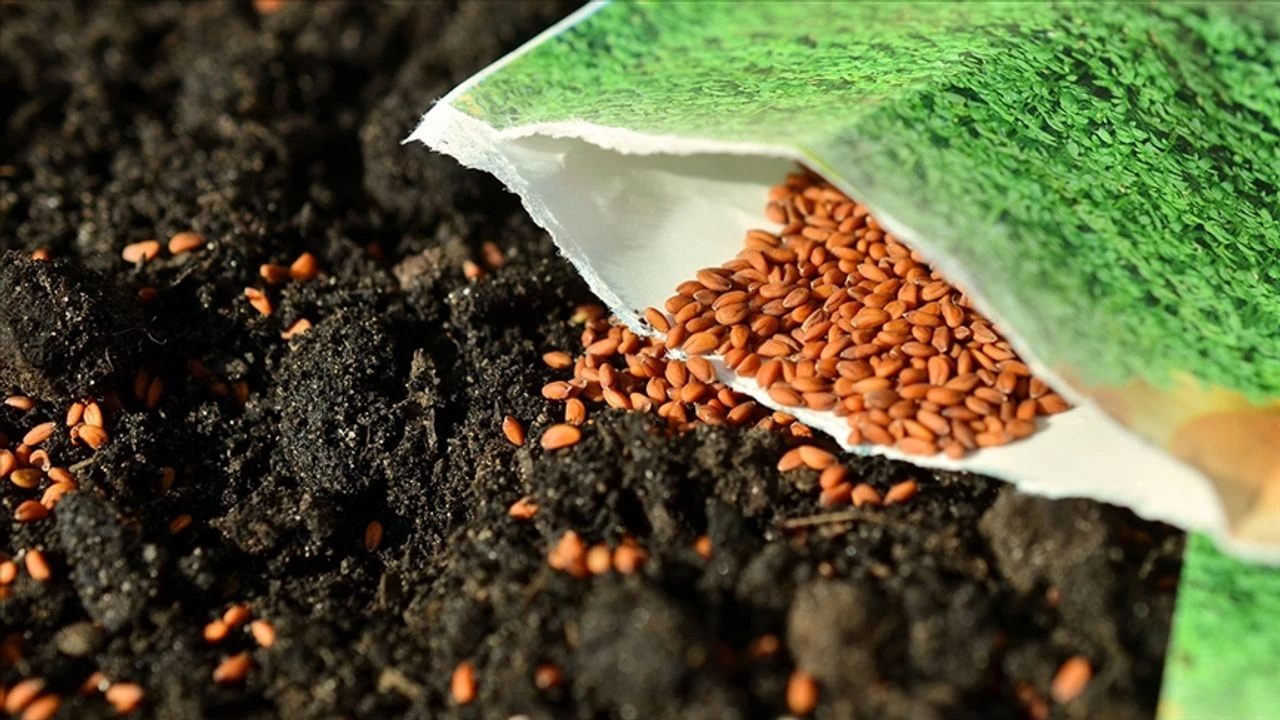 Tohumculuk sektörü 2030 hedefini açıkladı