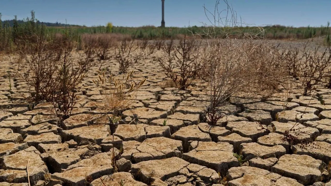 İzmir’de yer altı sularında tuzlanma riski büyüyor