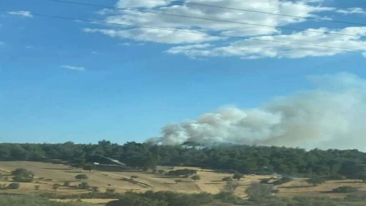 Çanakkale’de orman yangını: Ekipler alevlerle mücadele ediyor