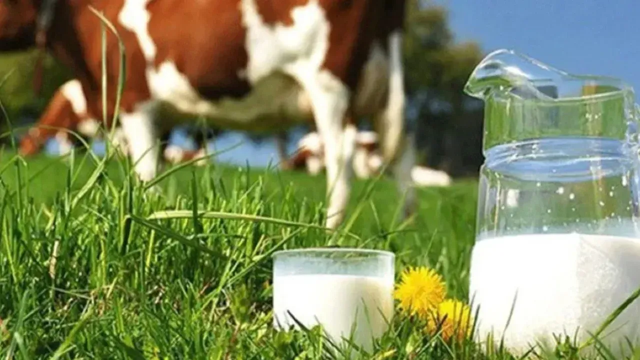 Süt üreticilerine zam: Çiğ süt litre fiyatı arttı