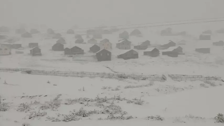 Doğu Karadeniz’e kar yağdı: Kalınlık 60 santimetreye ulaştı