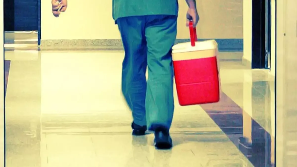 Organ bağışında yeni dönem: e-Devlet ve e-Nabız