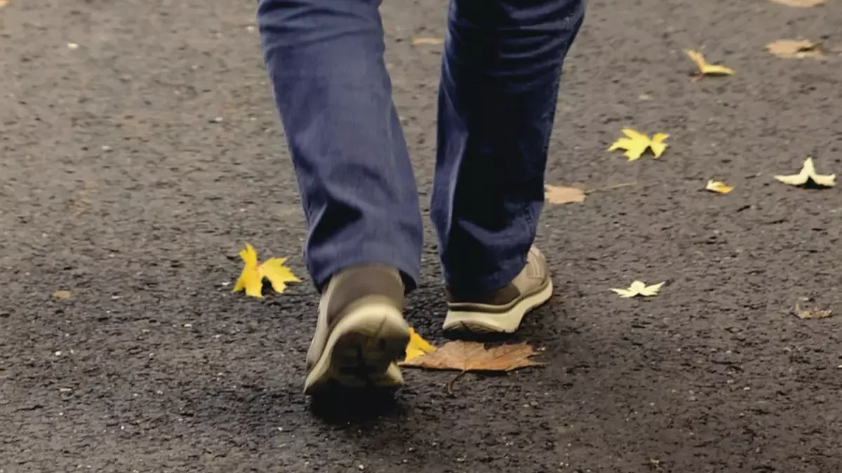 Yürüyüşte Ayağına Takılan Göktaşı Sahibini Zengin Etti