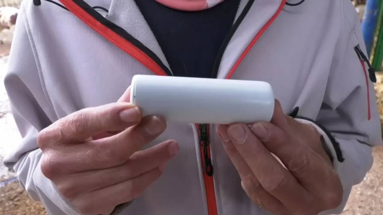 Bursa’da Yapay Zeka İle Süt Üretiminde Devrim