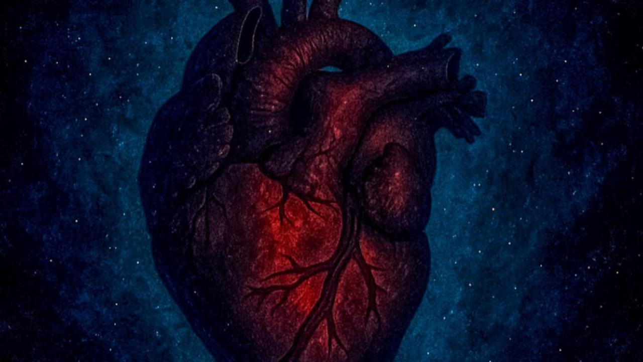 KALP, SESSİZLİĞİN EN GÜRÜLTÜLÜ YERİDİR.