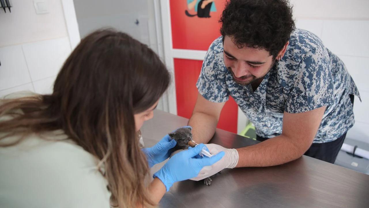 Konak Belediyesi patili dostlarımızı yeni yuvasına kavuşturmaya devam ediyor