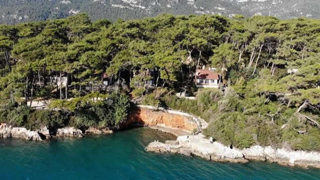 Akyaka Orman Kampı’na imar tehdidi: Valilik ihaleye çıktı!