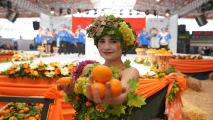 Seferihisar Belediyesi'nin Mandalina Şenliği, bu yıl 25’inci kez düzenlenecek