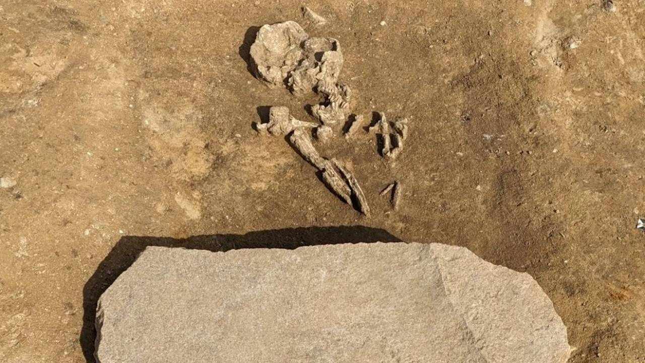 Almanya’da 4 Bin Yıllık “Zombi Mezarı