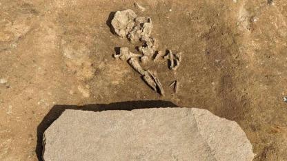 Almanya’da 4 bin yıllık “Zombi" mezarı