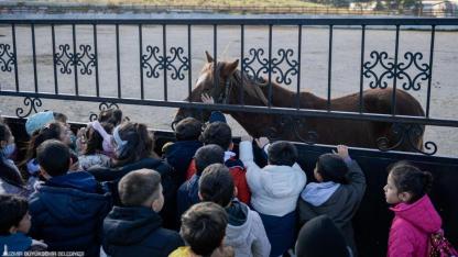 Çocuklara hayvan sevgisi aşılanıyor