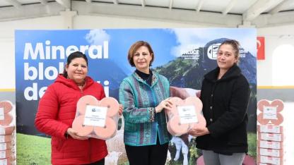 Eskişehir Büyükşehir Belediyesi’nden Hayvancılığa Destek: 15 Ton Mineral Blok Dağıtıldı
