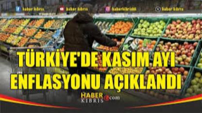 TÜİK Kasım ayı enflasyonunu açıkladı