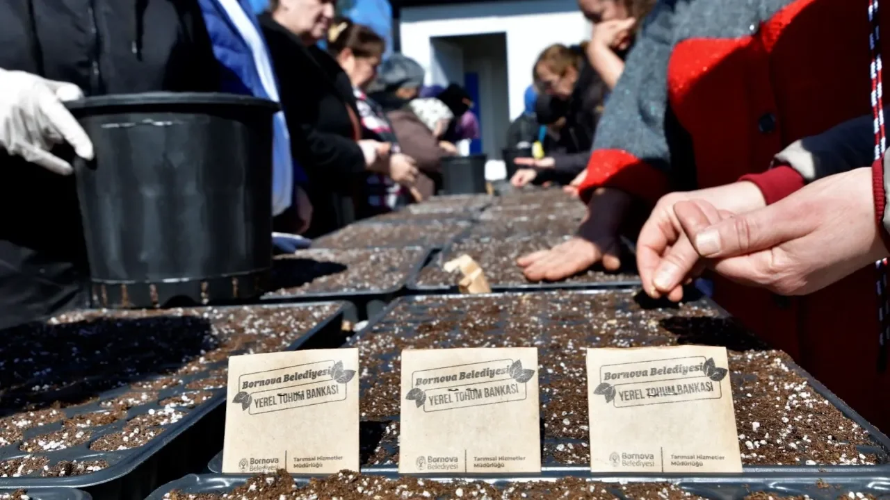 Bornova’da Kent Bostanlarında Yaz Sezonu Hazırlığı