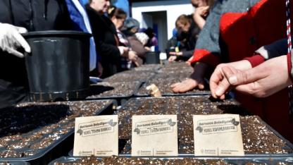 Bornova’da Kent Bostanlarında Yaz Sezonu Hazırlığı