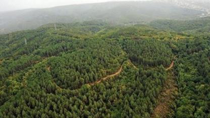 İzmir Kemalpaşa’daki Alan Orman Sınırları Dışına Çıkarıldı