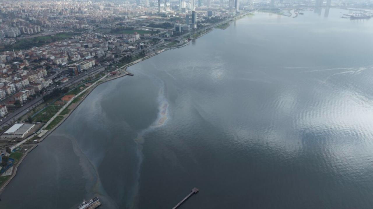 İzmir Körfezi’nde Kirlilik Alarmı