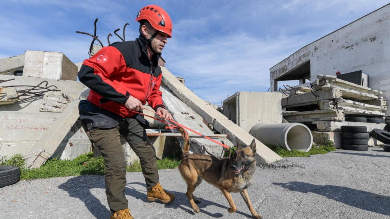 İzmir’de afetzede hayvanlar için arama kurtarma eğitimi