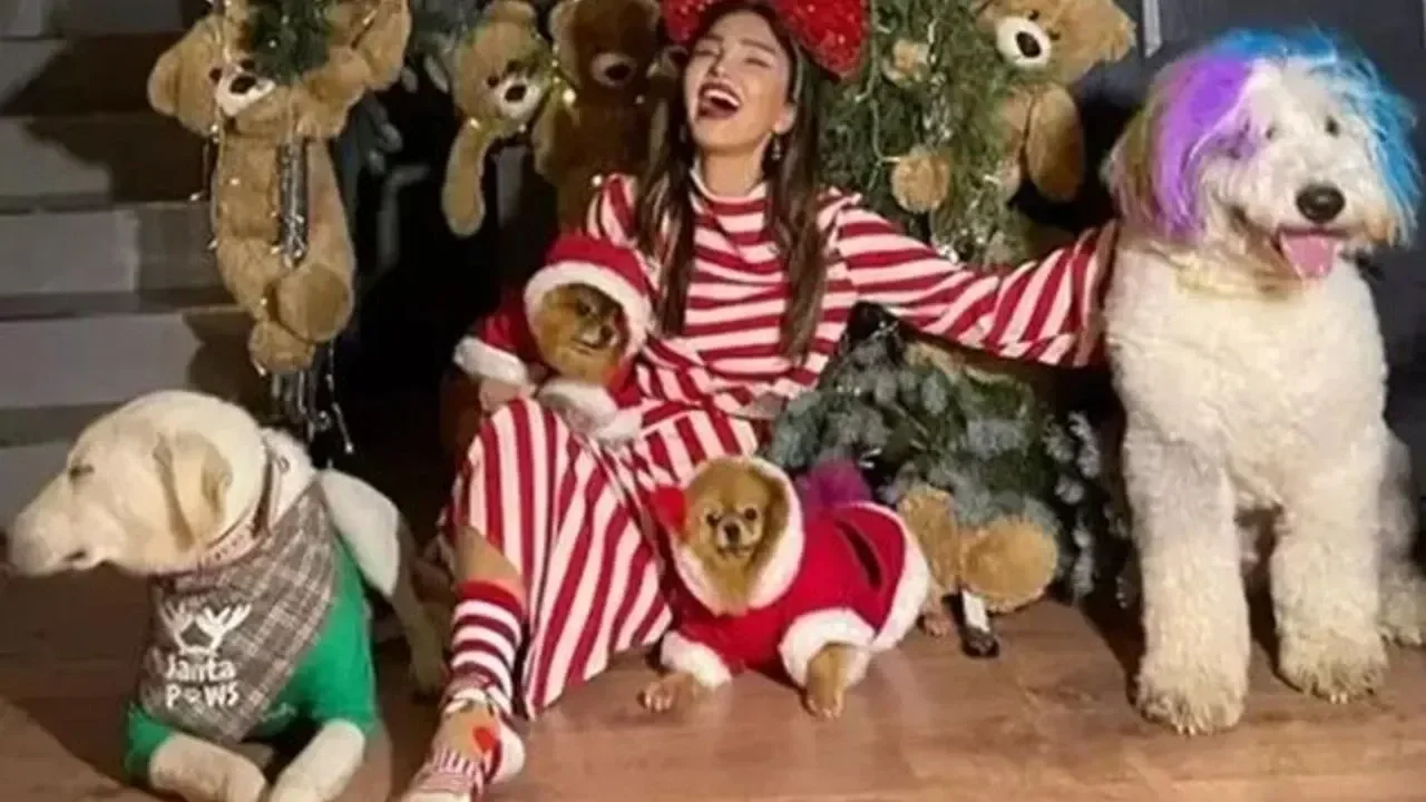 Seren Serengil İstanbul’u Terk Ediyor mu? Sosyal Medya Paylaşımına Açıklık Getirdi