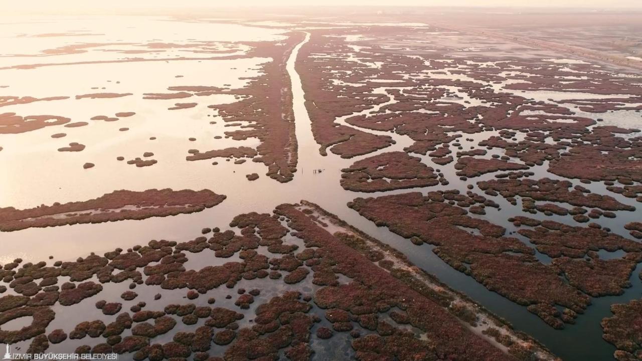 Gediz Nehri’ndeki kirlilik alarm veriyor: Körfez ve tarım tehdit altında