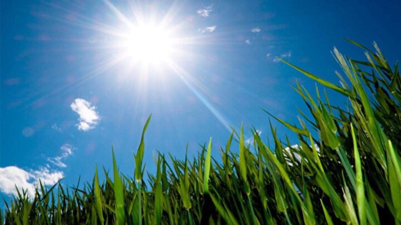 İzmir’de Bahar Havası: Sıcaklık 19 Dereceye Kadar Yükselecek