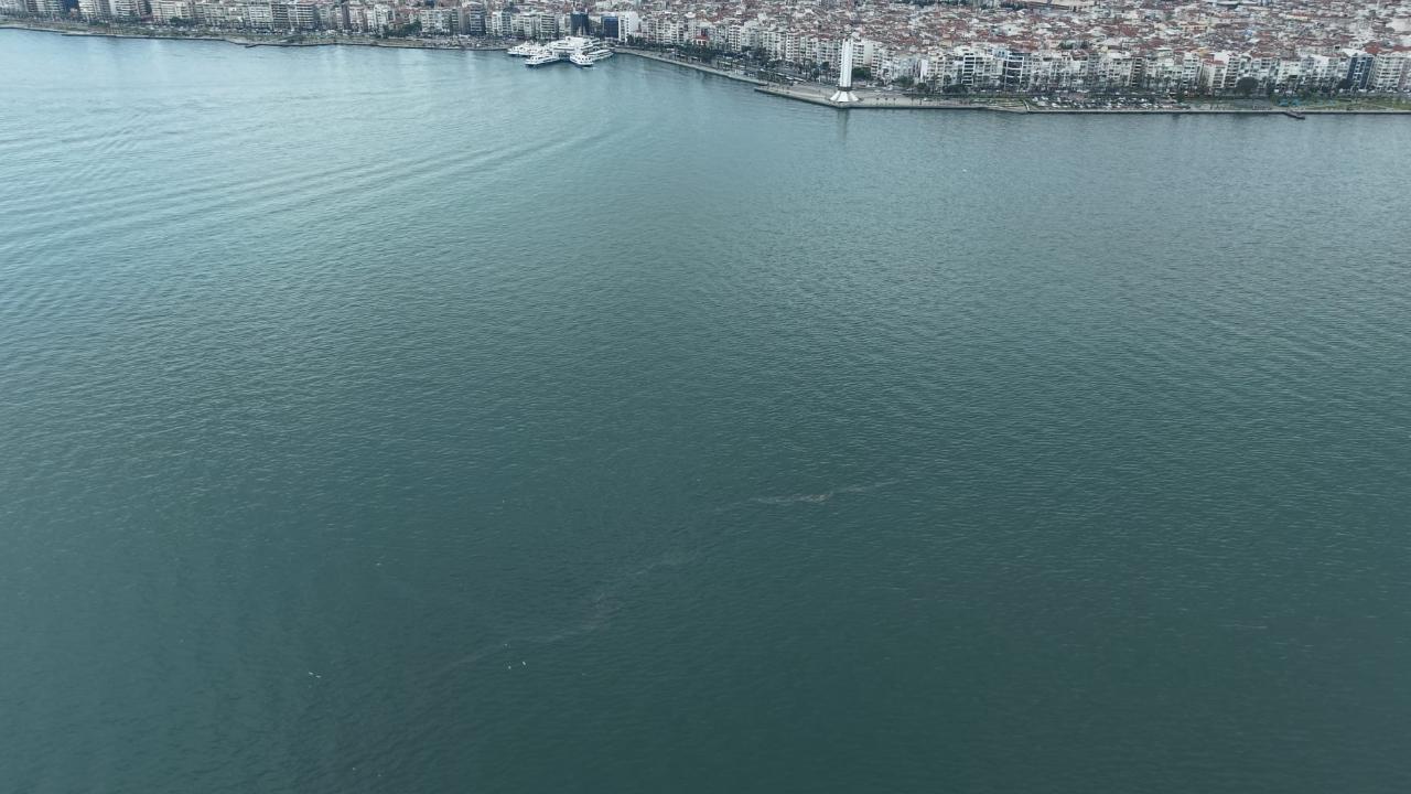 Çevreye yönelik sistematik ihlaller tepki çekiyor