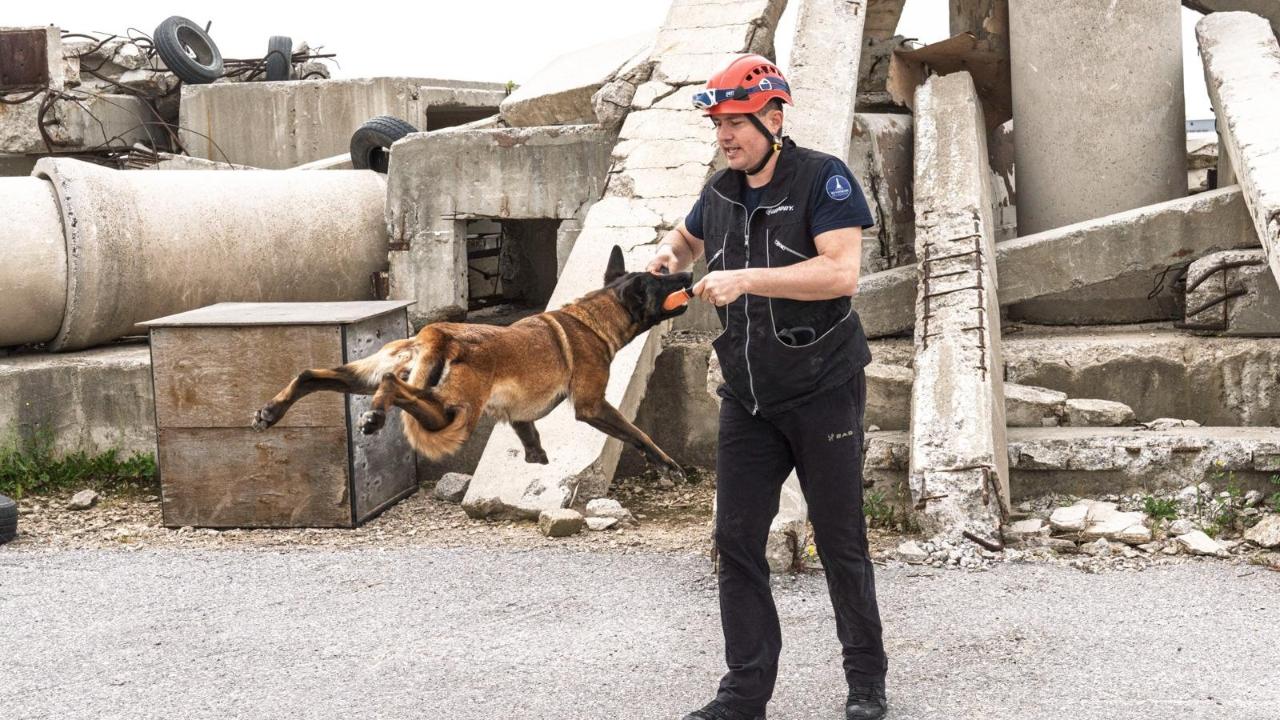 Momo enkaz görevine hazırlanıyor