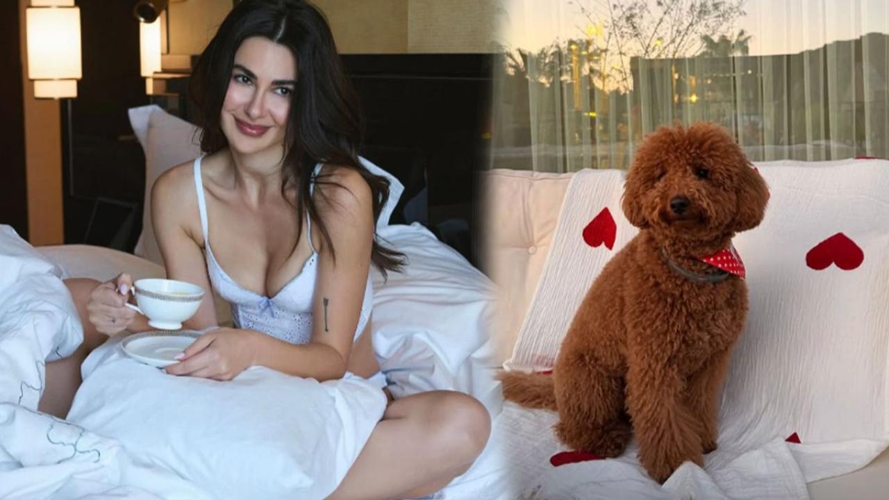 Nesrin Cavadzade’den köpeği Dolce’ye doğum günü partisi: Sosyal medyada gündem oldu
