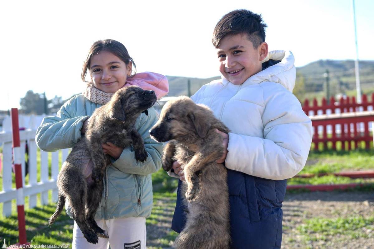 İzmir’de “satın alma, sahiplen” çağrısı: 3 bini aşkın patili dosta yeni yuva
