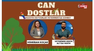 Egzotik Hayvanlar Veterineri ile Sohbet - Mihriban Koçak'la Can Dostlar