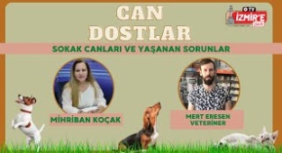 Sokak Canlıları Ve Yaşanan Sorunlar - Mihriban Koçak'la Can Dostlar
