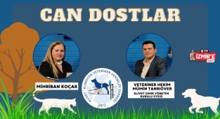 Veteriner Hekim Mümin Tanrıöver ile Sohbet - Mihriban Koçak'la Can Dostlar